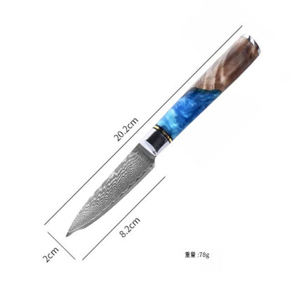 Hot Selling 67 Layers Damascus Steel Kitchen Chef santoku slicing bread cleaver butcher utility paring Knife Set