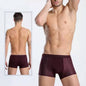 Summer mesh ice silk underwear men's boxer briefs