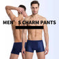 Summer mesh ice silk underwear men's boxer briefs